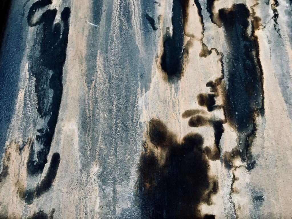 Mold Remediation