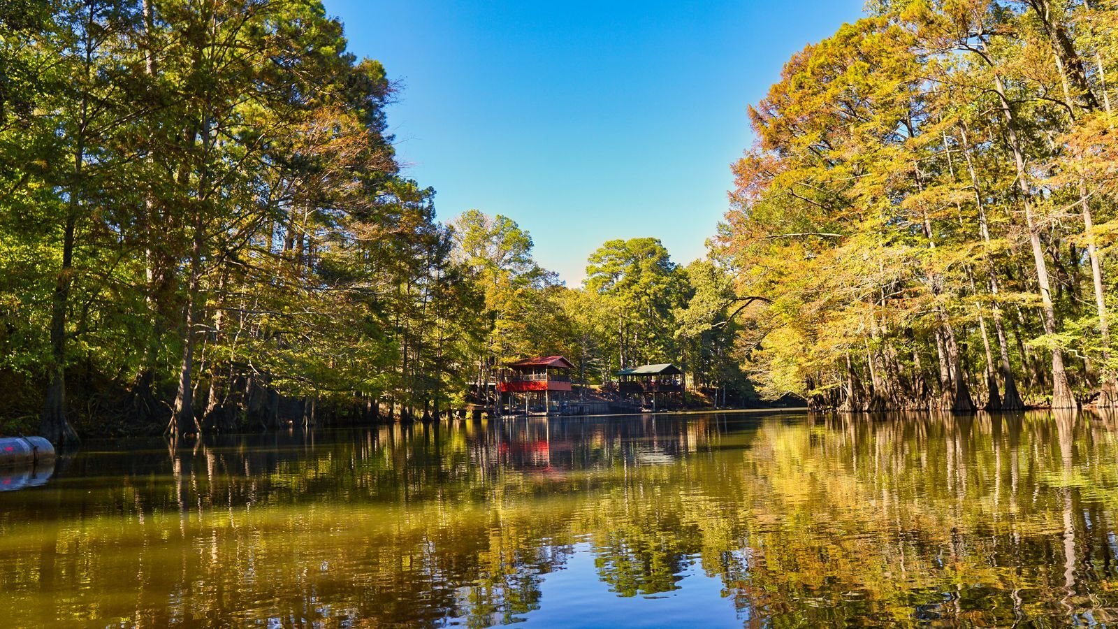 Tree-lined shoreline of a North Texas reservoir with high water along the bank
